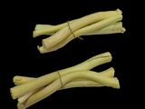 two stalks of lemon on a black background