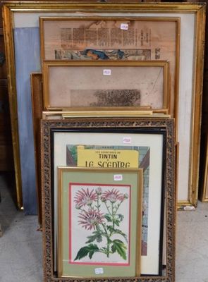 Plusieurs photos encadrées de fleurs et de plantes sont exposées devant un mur.