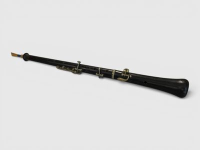 a black and gold clarinet on a white background