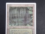 a close up of a card with a picture of a swamp