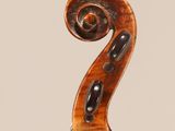 a close up of the back of a violin