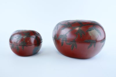 deux pommes rouges posées l'une à côté de l'autre sur une surface blanche