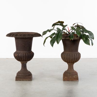two vases with plants in them sitting on a cement floor