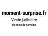 Photo 1/1 du lot