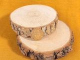 two slices of wood with a coin on top of them