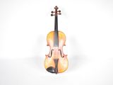 an image of a violin on a white surface with a white background