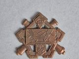 une photo d'une petite épingle en bronze sur laquelle figure l'effigie d'un homme