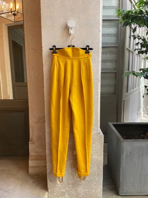 yellow pants hanging on a wall next to a potted plant