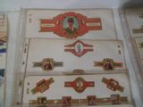 a picture of a collection of cigars in a case