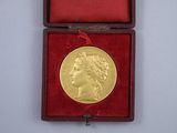 a gold medal in a red box with a red ribbon