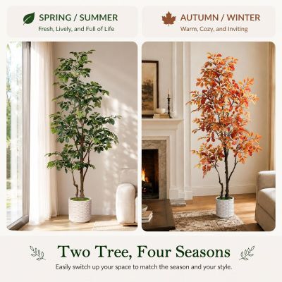 deux arbres, les quatre saisons et une cheminée dans un salon