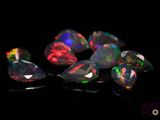 de très jolis oplites colorés sur un fond noir