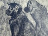 drawing of two monkeys sitting next to each other in front of a tree