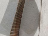 un petit objet métallique muni d'une longue lame