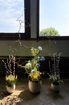 quatre vases contenant différents types de fleurs
