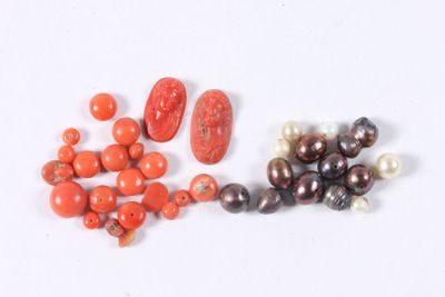 de nombreux fruits et légumes de toutes sortes sur une surface blanche
