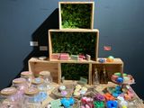 une table sur laquelle se trouvent de nombreux objets différents