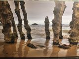 une photo d'une photo représentant des arbres sur la plage
