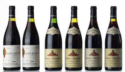 six bouteilles de vin sont alignées sur une surface blanche