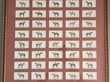 une photo représentant un tableau encadré représentant des chevaux accroché au mur