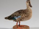 un petit canard posé sur un socle en bois