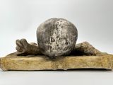 an image of a stone sculpture of a skull on a wooden base