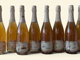 six bouteilles de vin sont alignées sur une surface blanche