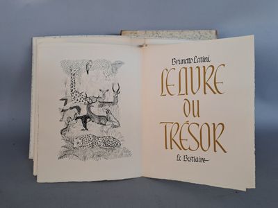 un livre ouvert avec l'image d'un chat dessus