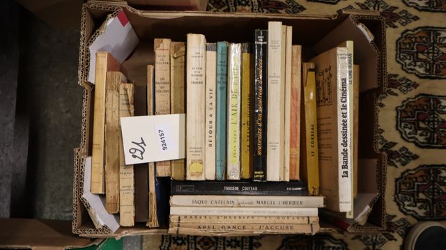 Carton de 26 livres sur le Cinéma.