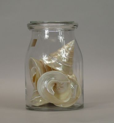 a glass jar with shells inside of it on a table