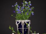 un vase contenant des fleurs bleues, posé à côté d'une théière en argent