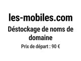 Photo 1/1 du lot