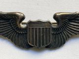 a close up of a metal badge with wings on a white background