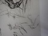 drawing of a bird flying over a group of bats in a field