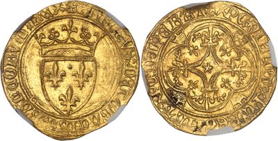 a gold coin with a crown and shield on it