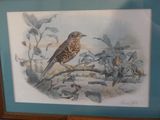 painting of a brown bird perched on a branch in a blue frame
