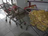 deux caddies remplis de sacs de provisions