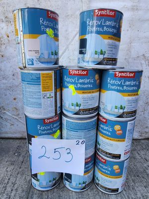 Lot de 20 pots Syntilor Rénov’ Lambris, Poutres, Boiseries, …