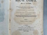 an open book with a picture of an animal on it