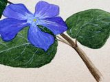a painting of a purple flower on a green leaf