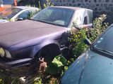 a purple car that is sitting in the grass