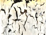 a close up of a cracky vase on a white surface