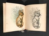 a book with a drawing of a cat and a drawing of a cat
