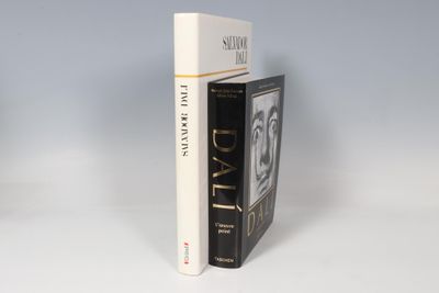 Beaux Arts-Peinture Salvador Dali