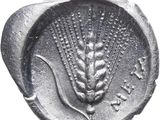 a close up of a coin with a flower on it