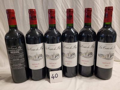 6 bouteilles CHÂTEAU LA TOUR DE BY 2011 MEDOC.