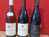 trois bouteilles de vin sont alignées sur une table