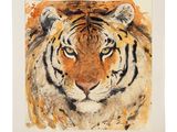 une aquarelle représentant un tigre sur fond blanc