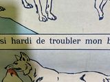 Photo 2/11 du lot