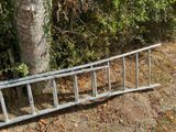 an old ladder leaning against a tree in the woods